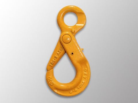 點(diǎn)擊查看詳細(xì)信息<br>標(biāo)題：Selflock Hook 閱讀次數(shù)：1448