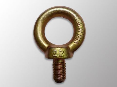 點擊查看詳細信息<br>標題：DIN580 Eye Bolt 閱讀次數：1184