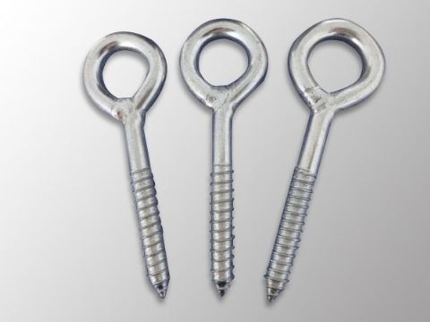點(diǎn)擊查看詳細(xì)信息<br>標(biāo)題：Eye Bolt 閱讀次數(shù)：1123