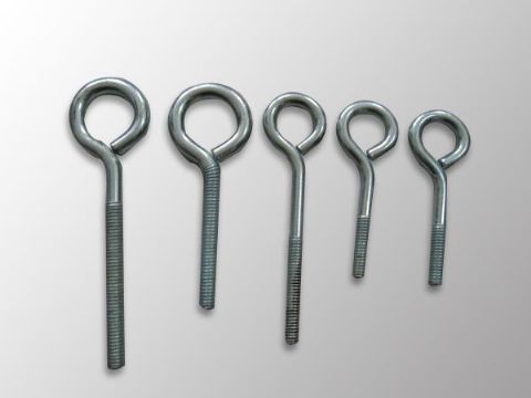 點(diǎn)擊查看詳細(xì)信息<br>標(biāo)題：Eye Bolt 閱讀次數(shù)：1103