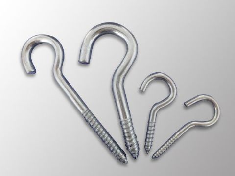 點(diǎn)擊查看詳細(xì)信息<br>標(biāo)題：Eye Bolt 閱讀次數(shù)：1010