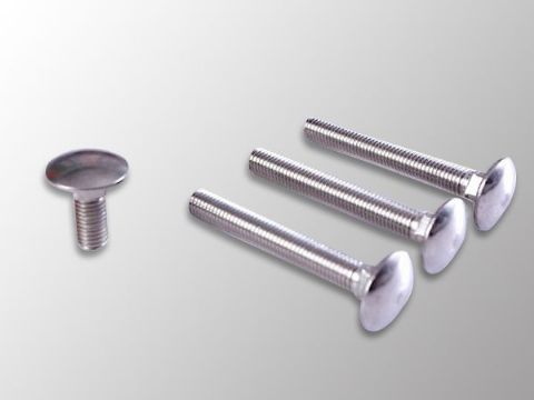 點擊查看詳細信息<br>標題：Carriage Bolt 閱讀次數：1135