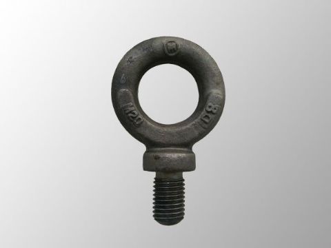 點(diǎn)擊查看詳細(xì)信息<br>標(biāo)題：Eye Bolt 閱讀次數(shù)：1435